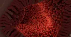 Read more about the article Wie funktioniert der Darm? Eine faszinierende Reise durch das Verdauungssystem