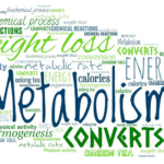 ¿Cómo funciona el metabolismo?