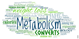 Read more about the article Hvordan fungerer metabolismen?