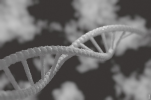 Läs mer om artikeln Vad är gener?