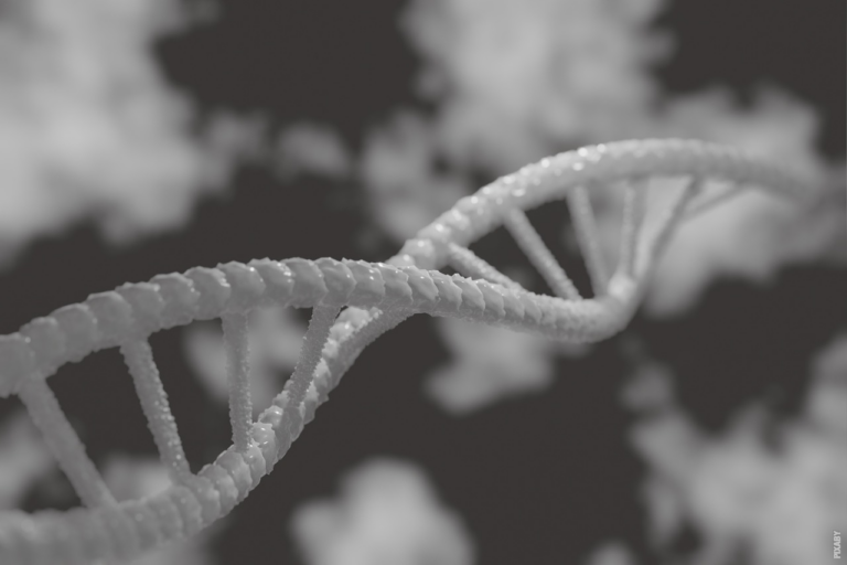 Read more about the article Hvad er gener?