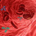 Como o sangue circula: O incrível sistema vascular