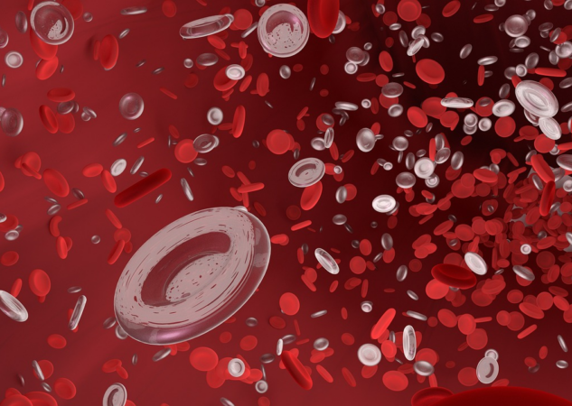 What are red blood cells?