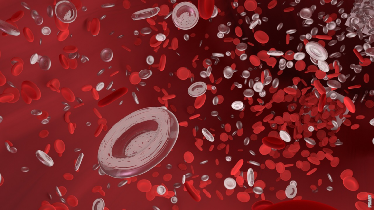 Read more about the article Hvad er røde blodlegemer?