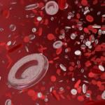 O que são glóbulos vermelhos?
