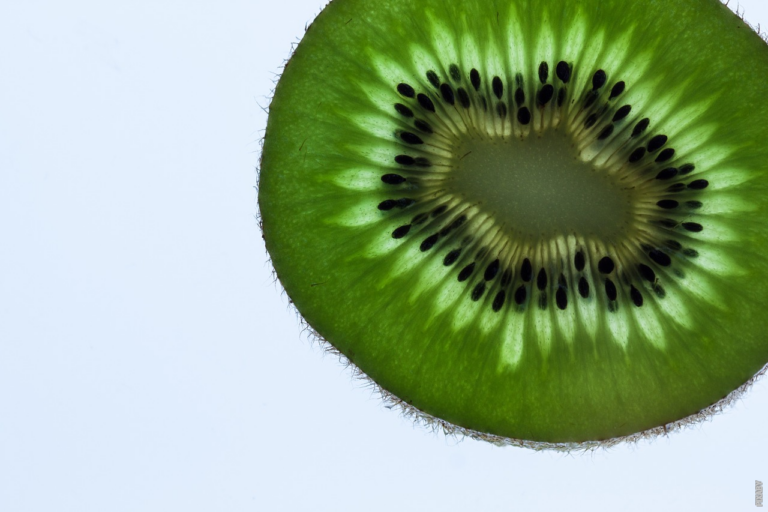 Read more about the article Hvordan overlever kiwi, den flyvende fugl uden vinger?