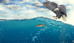 Read more about the article Dlaczego niektóre ptaki nie potrafią latać?