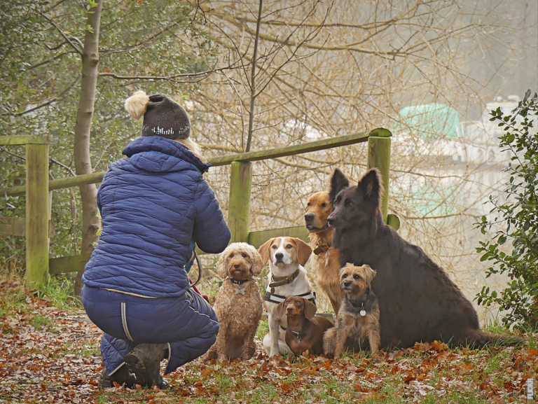 Read more about the article 犬種の名前の由来について