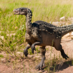 Kuinka tiedämme, miltä dinosaurukset näyttivät?