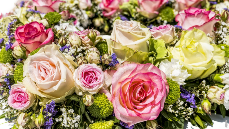 Read more about the article Woher kommt der Duft und die Farbe der Blumen?