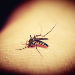 蚊子传播疾病吗？